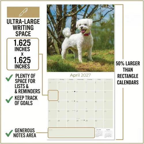 Miniatura 4 de Razas de Perros 2017 BICHON FRISE