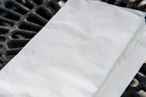 Miniatura 5 de EcoQuality Servilletas de cena blancas de 2 capas de 15 x 17 pulgadas, 4000 por paquete, servilletas de uso diario, perfectas para restaurantes