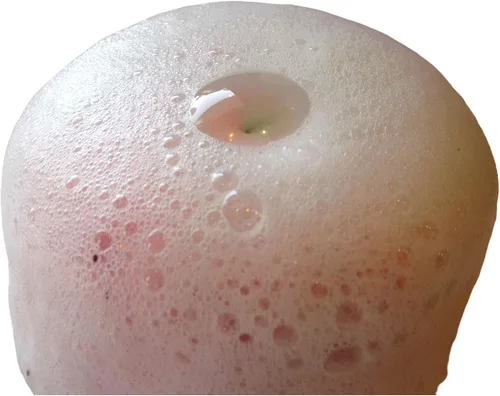 Fizzy Powders/Bath Bombs Powder (Agave Lime)