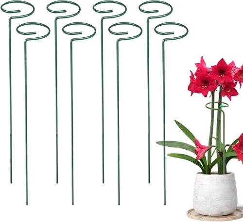 Miniatura 11 de Paquete de 4/8/12 estacas para plantas, estacas de soporte para plantas de 16/24/36 pulgadas, nuevo soporte de palos para plantas 2025, estacas
