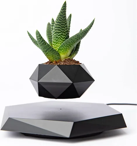 BandDlevs Macetas flotantes para plantas - Maceta levitante - Maceta levitadora para bonsái, suculentas, plantas de aire - Exhibidor magnético