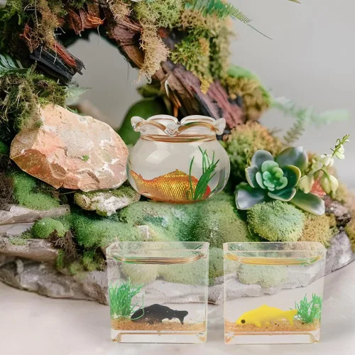 Miniatura 3 de Juego de 4 peceras de tamaño pequeño, la pecera de cristal redonda y cuadrada, accesorios de paisaje en miniatura, suministros de decoración