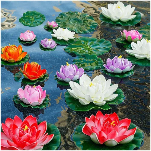 Miniatura 5 de Más de 30 tazones de semillas de loto bonsái para plantar semillas de flores de lirio acuático, semillas de plantas sin OMG, semillas de jardín