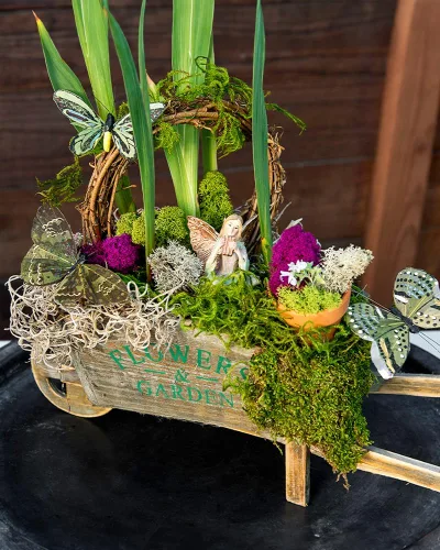 Miniatura 3 de SuperMoss (23303) Mezcla de musgo – Musgo decorativo de primera calidad para manualidades, terrarios, decoración de bodas y mesa, 80.75 pulgadas