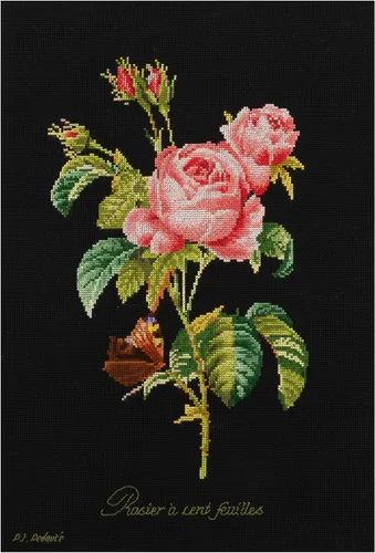Thea Gouverneur - Kit de punto de cruz con conteo - Rosa Redouté - Aida Black - 18 unidades - Kit de bordado para adultos - Hilos de bordado DMC y