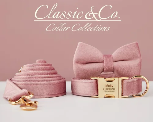 Miniatura 2 de Collares de perro personalizados con hebilla metálica - Collares personalizados con nombre de mascota y número de teléfono para razas pequeñas