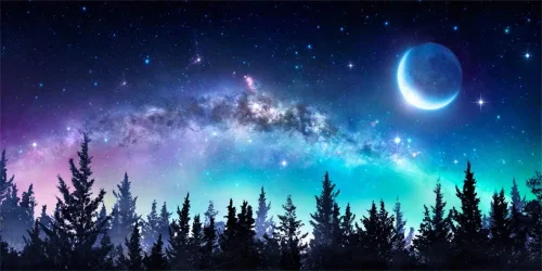 Miniatura 12 de AOFOTO Telón de fondo de bosque de cielo nocturno de 5 x 3 pies, universo, nebulosa, galaxia, cielo estrellado, fondo para fotos, luces coloridas