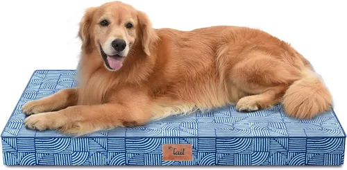 Miniatura 37 de Cama ortopédica de felpa para perros y cachorros medianos, camas impermeables para perros de 30 x 20 pulgadas con funda extraíble lavable, tapete