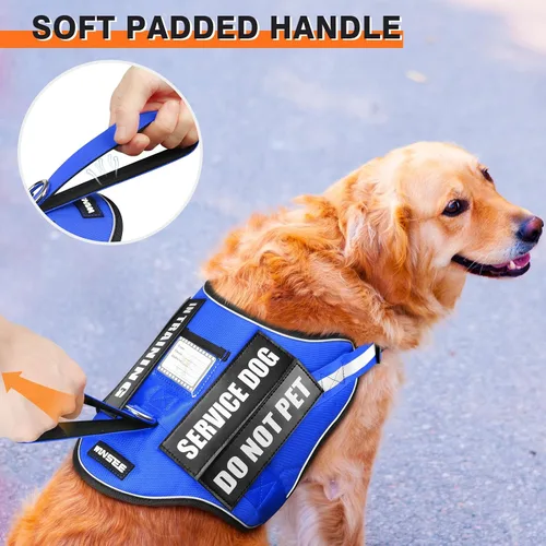 Miniatura 5 de Juego de arnés y correa para perro de servicio, chaleco de entrenamiento para perros con 10 parches para perros, arnés y chaleco para perros de Azul