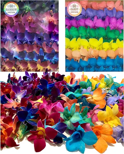Miniatura 13 de Miami Fresh Orchid Flower OrchidClub USA Sunne Tropical Loose Bloom DIY Lei, decoración de alimentos y bebidas (50 morado)