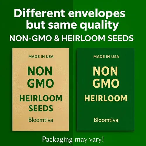 Miniatura 7 de Más de 250 semillas de pepino orgánico Marketmore – Semillas reliquia premium – Perfectas para jardines, camas elevadas y contenedores – Crujientes