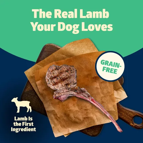 Miniatura 4 de Blue Buffalo Freedom - Alimento seco para perros sin granos, nutrición completa y equilibrada para perros adultos, fabricado en los Estados Unidos