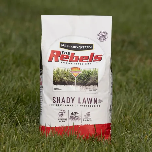 Miniatura 11 de Pennington The Rebels mix de semillas de césped Tall Fescue para zonas sombrías, 3 libras