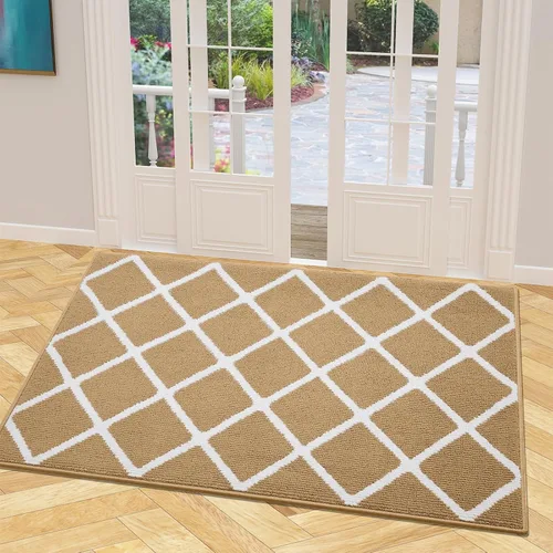 Miniatura 48 de Finchitty Alfombra para Puerta Interior, Resistente a la Suciedad y Absorbente, de Perfil Bajo, Antideslizante, Lavable, Alfombras de Piso