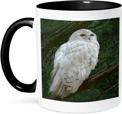 Miniatura 12 de 3dRose mug_154800_4 - Taza con diseño de búho blanco nieve posado en una rama contra un fondo verde, 11 onzas, color negro