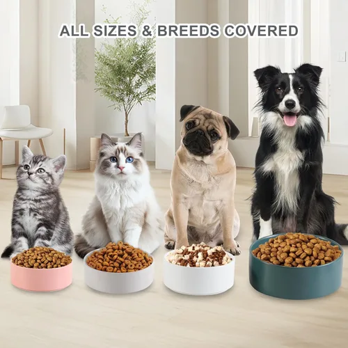 Miniatura 7 de Cuenco de cerámica para perros para comida y agua, cuenco comedero para mascotas para perros y gatos pequeños, plato de alimentación de cerámica