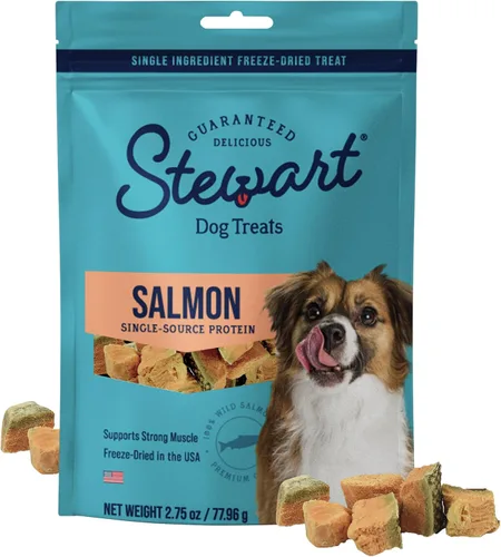 Stewart Golosinas 100% de salmón silvestre para perros, bolsa de 2.75 onzas, ~ 55 piezas, crudas liofilizadas, de un solo ingrediente, 65% de