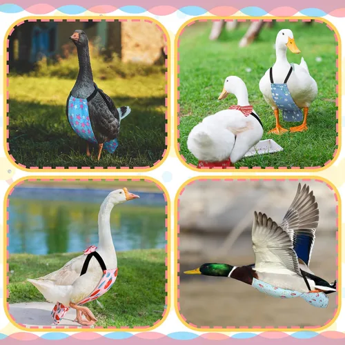 Miniatura 6 de DoubleFill 6 piezas de pañales para gallinas, gallos, patos reutilizables y lavables con lazada para patitos, gallinas, gansos, aves ajustables