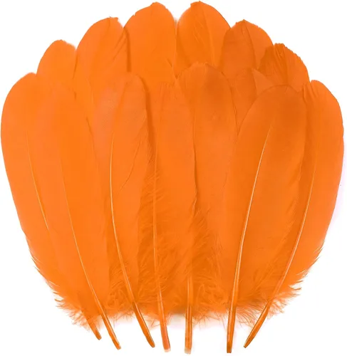 Miniatura 28 de 50 piezas de plumas de ganso naturales de 5 estilos, accesorios de ropa, paquete de estilos arcoíris, decoración de Pascua, Navidad, ropa