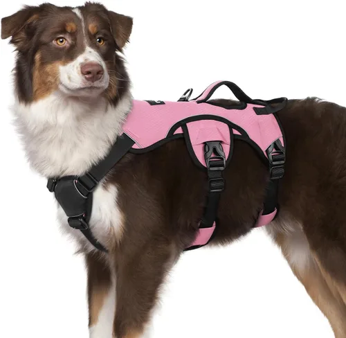 Miniatura 30 de rabbitgoo - Arnés para perro a prueba de fugas, arnés para mascotas acolchado suave de cuerpo completo, chaleco reflectante ajustable sin tirones
