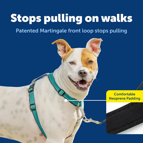 Miniatura 3 de PetSafe Arnés 3 en 1 – Cómodo arnés de pecho para perro fácil de caminar con accesorio de correa frontal para reducir tirones, asfixia y arcadas
