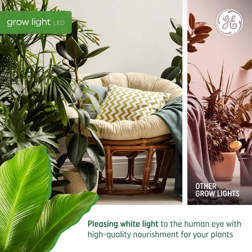 Miniatura 5 de GE Bombilla de luz LED de cultivo, PAR38 luz de inundación, luces de cultivo LED de interior para flores y frutas, espectro de luz roja avanzado