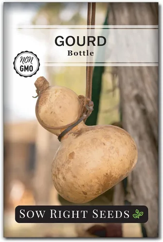 Sow Right Seeds - Semilla de calabaza en botella para plantar - Paquete de reliquia sin OMG con instrucciones para plantar y cultivar un huerto en