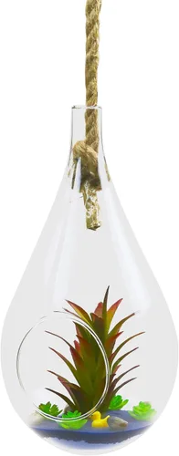 Miniatura 4 de WGV - Maceta colgante terrario, 5 pulgadas de ancho, 9.5 pulgadas de alto, cristal transparente para suculentas, contenedor floral de lágrima