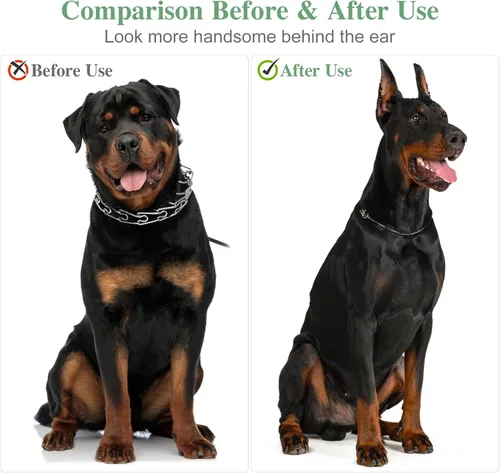 Miniatura 2 de Toddmomy Doberman - Kit de publicación de orejas de perro, herramienta de soporte para orejas de perro con cinta y 2 barras de corrección fijas