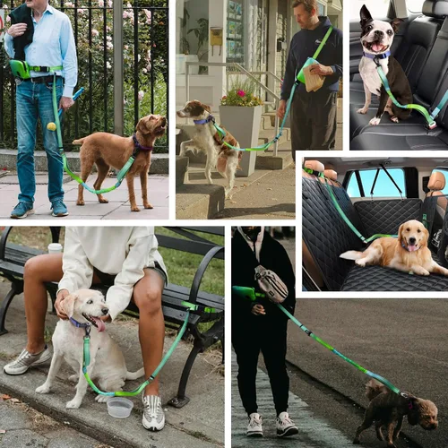 Miniatura 7 de Roses&Poetry Correa de Perro Manos Libres con Bolsa con Cremallera, Correa Elástica de Cintura de 6-9 pies para Caminar con Perros Medianos