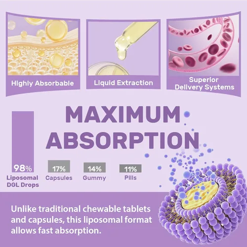 Miniatura 5 de Extracto liposomal de raíz de regaliz DGL – Regaliz deglicirricinado con L-glutamina, malvavisco, clavo y olmo resbaladizo – digestivo