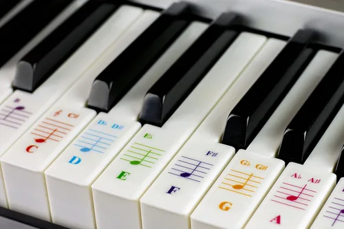 Miniatura 2 de QMG Calcomanías para teclado de piano para 88/76/61/54/49/37 teclas grandes para aprendizaje, letras extraíbles para teclado de piano, etiqueta