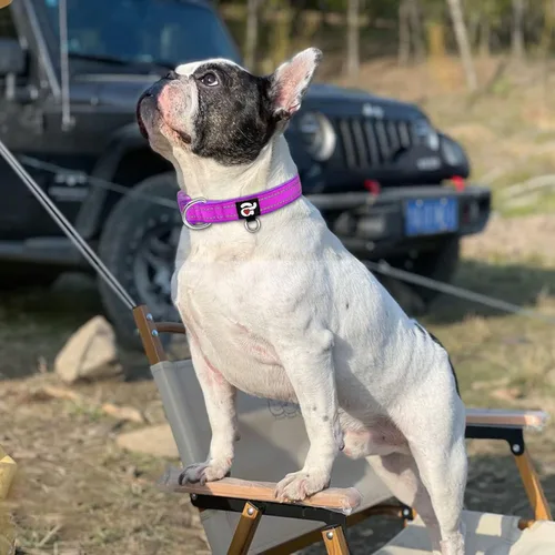 Miniatura 5 de azuza Collar reflectante para perro, de neopreno suave acolchado con anillo para etiqueta de identificación, ajustable para perros medianos, morado