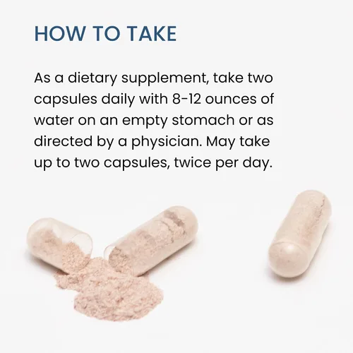 Miniatura 7 de The Wellness Company Spike Support - Desintoxicación, salud inmune, flujo sanguíneo, anticoagulante - Nattokinase, raíz de diente de león y Black