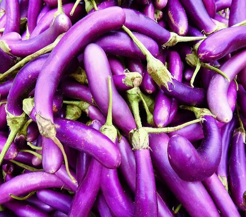 Miniatura 17 de Semillas de huerto para plantar - Cultivar verduras tradicionales (tomate bistec)