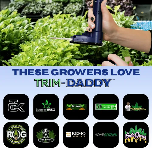 Miniatura 5 de 3PLUS - Cuchillas de repuesto 'King Slim' Recorte húmedo Cuchilla eléctrica para recortadora I Tijeras eléctricas de jardinería