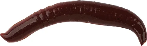 Miniatura 5 de Berkley ¡Gulp! Pinched Crawler Pesca Cebo Suave Nightcrawler - Aroma de ajo