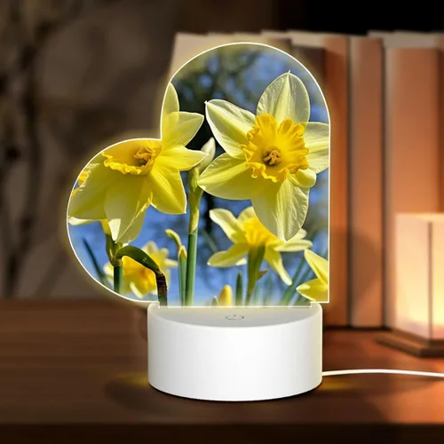 Miniatura 18 de 3D Night Light LED Light Lamp Base Personalized Gifts Acrylic Night Light Color Fusion Night Light Acrylic Plaque USB 3 Colors Change Smart Touch
