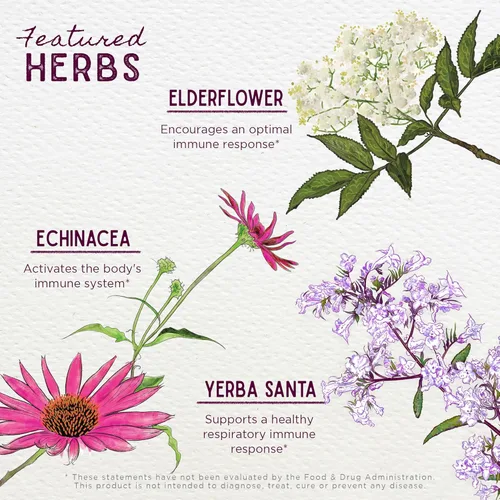 Miniatura 4 de WishGarden Herbs Kick-Ass Activador Inmune – Suplemento de apoyo a la inmunidad a base de hierbas para adultos, refuerzo inmunológico a base