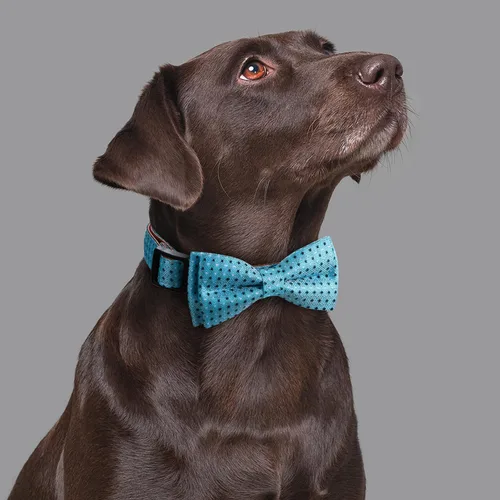 Miniatura 2 de Collar de Perro con Pajarita Patrón a Cuadros Azul Cielo con Pajarita para Perros Niño Niña Mediano C1_Checkered_Azul cielo
