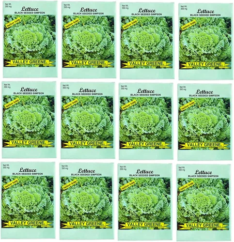 Miniatura 6 de Juego de 12 paquetes de semillas de verduras de roqueta de rúcula, crea un jardín de lujo, todas las semillas son reliquias, 100% sin OMG