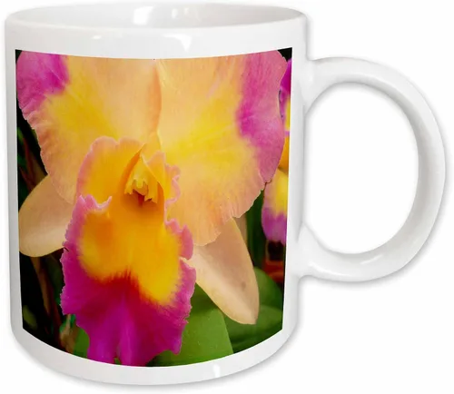 Miniatura 12 de 3dRose Florene Flores – Gorgeous Orquídea – Tazas, Negro/Blanco