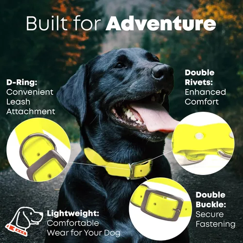 Miniatura 2 de Collar impermeable para perro con anillo central resistente Collar para perros pequeños, medianos, grandes o XL, Amarillo
