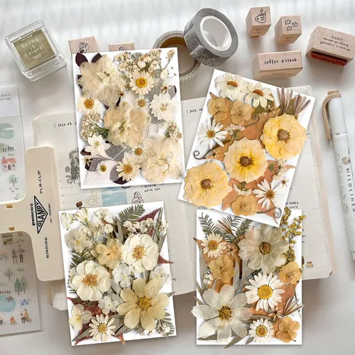 Miniatura 2 de 96 piezas de flores blancas secas y prensadas vintage para manualidades con resina - Juego de flores naturales reales de YouthBro con 50 calcomanías