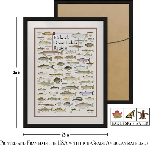 Miniatura 3 de Earth Sky + Water - Peces de la región de los Grandes Lagos - Pósters de doble estera con marco negro