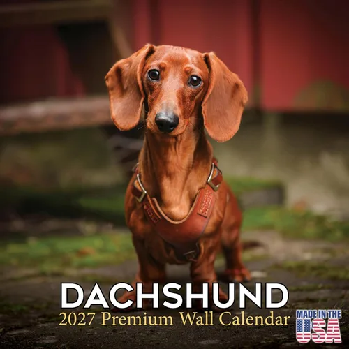 Miniatura 200 de Calendario 2025 2026 de cachorros Cocker Spaniel - Calendario mensual de pared de raza de perro - 12" x 24" abierto - Papel grueso sin sangrado