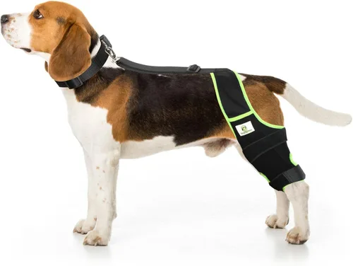 Rodillera de perro para patas traseras con cuello y correa adicionales, alivia el dolor y las molestias en las articulaciones, mejora la movilidad,