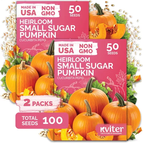 Miniatura 14 de KVITER Mezcla de 100 semillas de calabaza pequeñas (Cucurbita Pepo), paquete de 2 – Calabazas ornamentales de otoño, sin OGM – Semillas de reliquia