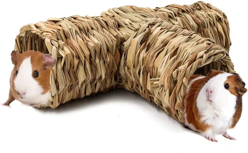 BWOGUE Juguete de túnel de hierba de hámster, túneles y tubos de conejillo de indias de la naturaleza para ratas, hámster sirio, hurones, conejillo