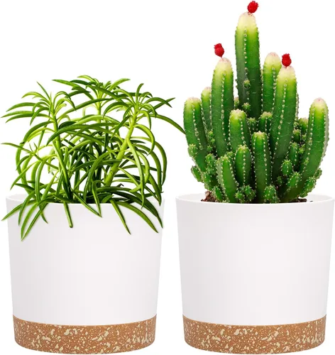 Miniatura 13 de QCQHDU Maceta de 8 pulgadas, paquete de 2 macetas para plantas de interior con agujeros de drenaje y platillo, macetas para exteriores, decoración